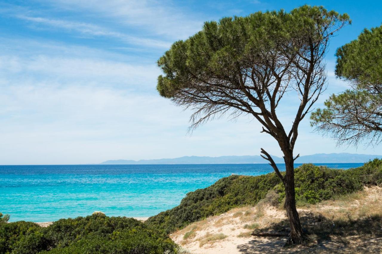 Appartamento Con Vista Mare A Terramala Terra Mala Dış mekan fotoğraf